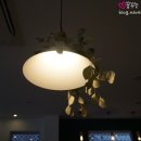 비누정원
