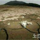 대로(보)2-1-6 이미지