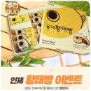 강원이벤트 네이버블로그