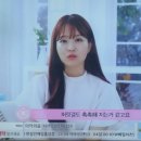 보영씽크 Daum카페
