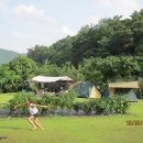 솔밭펜션 캠핑장 이미지