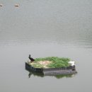 갈치저수지 이미지