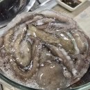 박속낙지 이미지