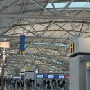 5034 | 중국동방항공 인천 ICN - 상하이 푸동 PVG 이코노미 MU5034 탑승 후기 (+기내식, 입국신고서 작성 방법 등)