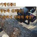 마운트존 생명을 살리는 가게 명품브랜드 계양 400MM(16인치)/350MM(14인치) 체인톱 전기톱 벌초 정원관리 땔감등 다용도 이미지