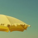 솔메이트 이미지