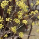 모짜르트펜션 이미지