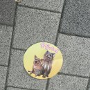 웅둥이네