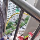 벌교가스 네이버블로그