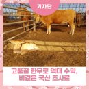 억대한우 이미지