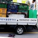 천동초등학교 | 드디어 이사 끝! 제발 다음엔 안 봤으면 하는 후기...