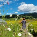 소뚝도랑 둘레길 이미지