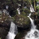 발교산산장 이미지