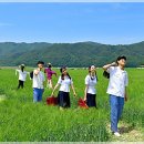 한주