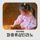 어린이놀이터파충류샵 | 창원 파충류샵 37개월 아이와 함께한 이색체험 파충류샵티라노