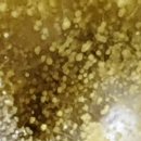 제은농장 이미지