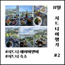 11월 시드니 여행기 2 : 시드니 에어비앤비, 피어몬트 베이
