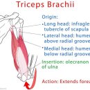 라이프짐 휘트니스 이미지