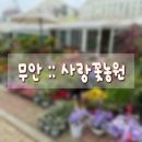 꽃단지농원 이미지
