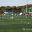 월드컵빌리지 축구장 인조 이미지