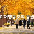 5060 여행동호회 영등포 송년모임 이미지