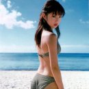 섬나라 이미지