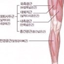 세이지 필라테스 이미지
