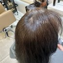 경기도 수원시 권선구 효원로256번길 7 (권선동) 이미지