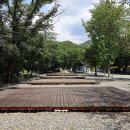 뉴힐링캠프 이미지