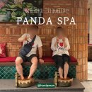 5397 | [다낭] 미케비치 근처 마사지 추천 판다스파 ㅣ 예약·가격·픽업서비스 후기