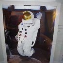 신기한 과학 탐구생활 이미지