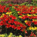 제주로 디톡스 하자^~^ 이미지