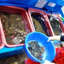 서남손칼국수 이미지