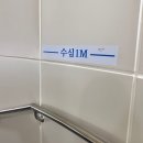 북면323 | 24년 6월 2박 4일 울릉도 독도 여행일정 Day2-(2): 천부 해중전망대 / 나리분지 / 카페 울라 / 태하...