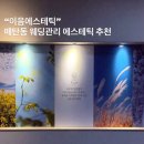 이음 핏 | 경기도 수원 매탄동 웨딩관리 촬영 전 피부관리 어디서? 이음에스테틱 웨딩 V라인 스킨 핏 후기