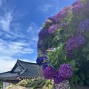 해마루민박 이미지