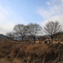 노현1리 이미지