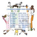 아이라라발달센터 이미지