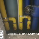D실 이미지