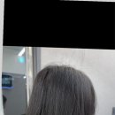 로이드밤(무실롯시점) 네이버블로그