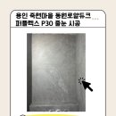 동원마을 동원로얄듀크(아) | 용인 죽현마을 동원로얄듀크 퍼플렉스 P30 줄눈 시공 현장