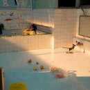 지평목욕탕 이미지