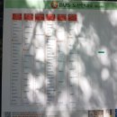 살구골서광·성지·동아·진덕 이미지