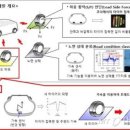 타이어투데이 이미지