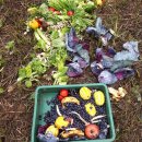 해마루농원 이미지