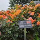 부천8경 포토존1 이미지