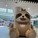 웨일서프 | 미오코스타 오픈 특가 할인 웨이브파크 라이브 소식