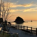 꽃지아라 이미지