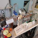 중앙동206 | 창원왁싱 중앙동에서 눈썹정리까지 받은 리얼 후기