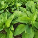 명이농장 이미지